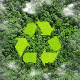PLV écologiques : valorisez votre marque avec des stands éco-responsables