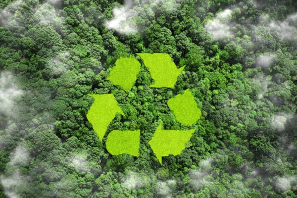 PLV écologiques : valorisez votre marque avec des stands éco-responsables